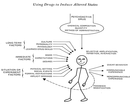 Fig 2: Factors affecting marijuana intoxication